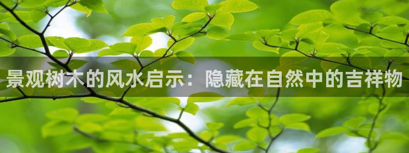 新宝gg最新章节