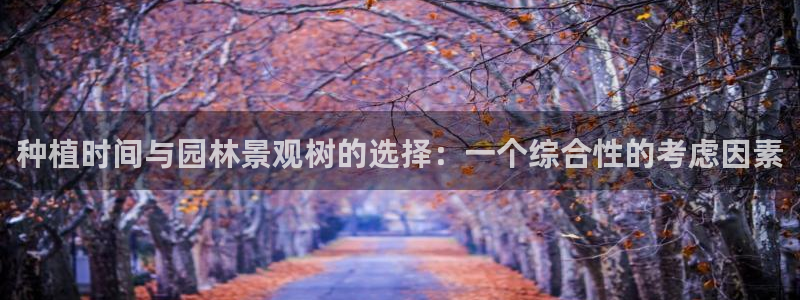 新宝gg招商