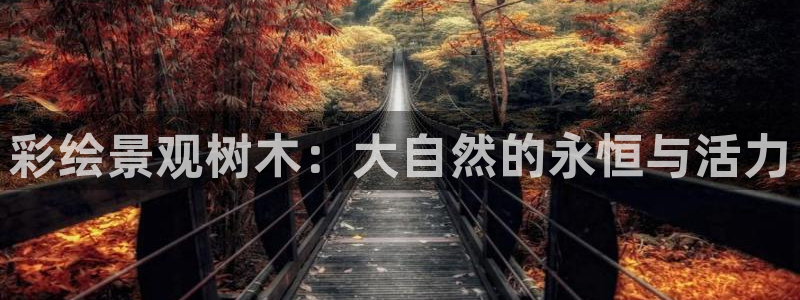 新宝gg创造奇迹 新宝gg