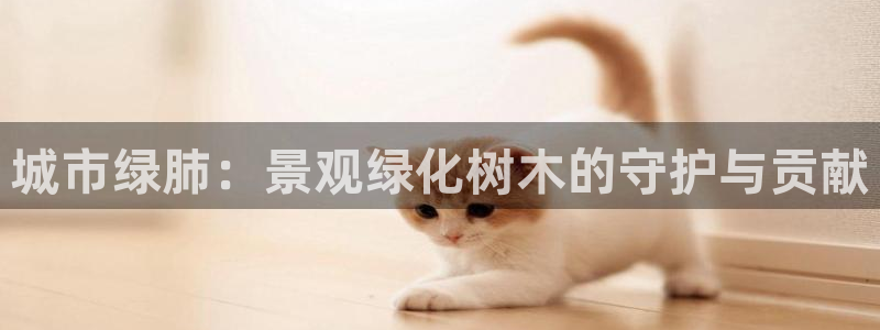 新宝gg手机版下载