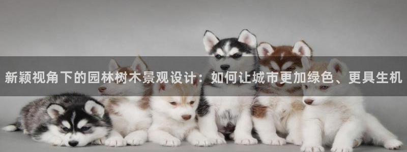 新宝gg有规律么