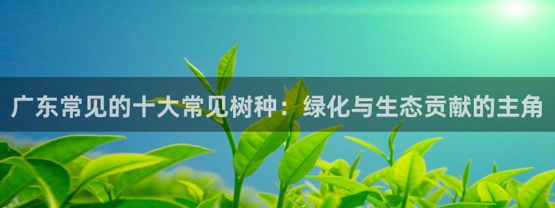 新宝gg有规律么