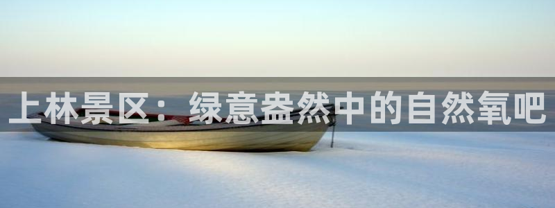 菲律宾新宝gg娱乐