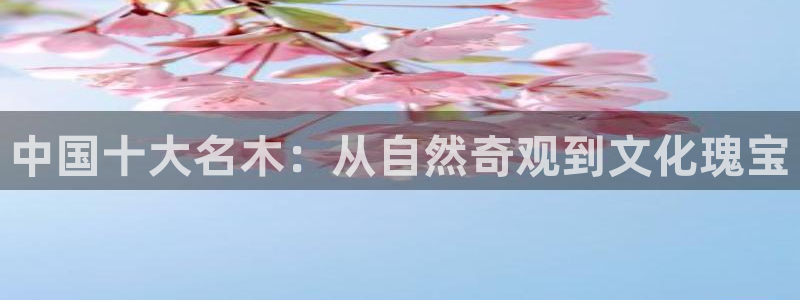 新宝gg娱乐官网