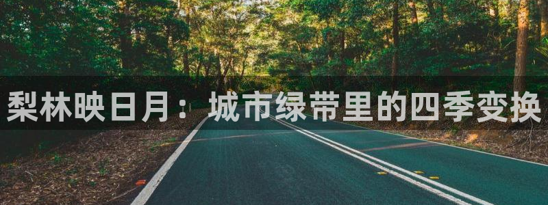 新宝gg官方主管