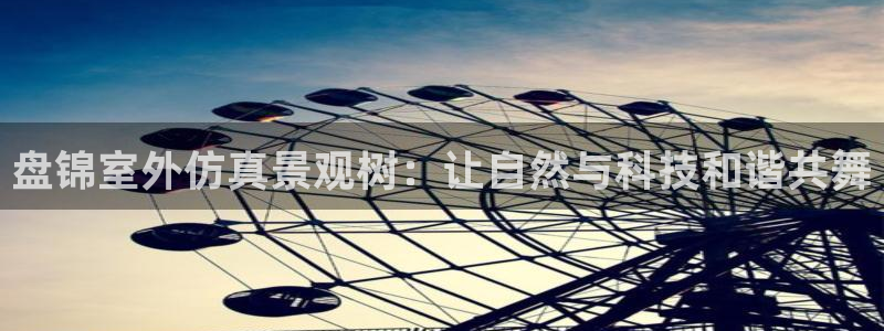 新宝gg如何代理