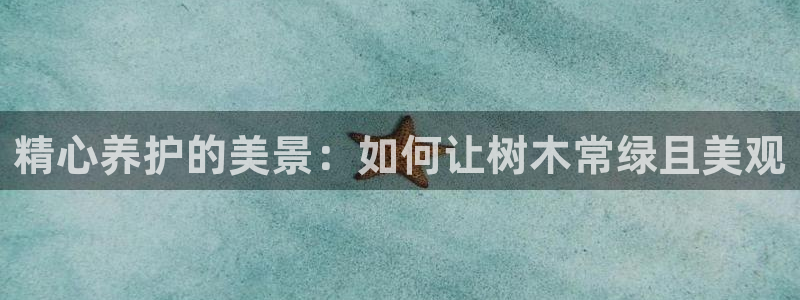 新宝gg平台怎么样