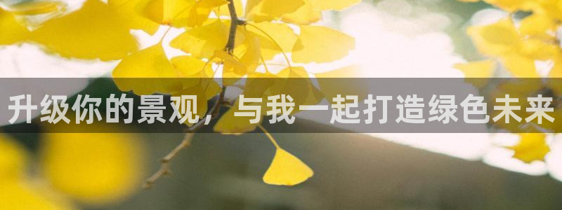 怎么下载新宝gg