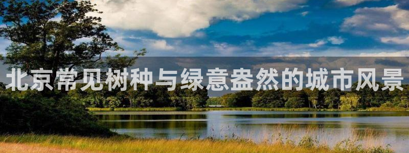 分分新宝gg：北京常见树种与绿意盎然的城市风景