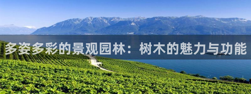 新宝gg主管baidu：多姿多彩的景观园林：树木的魅力与功能