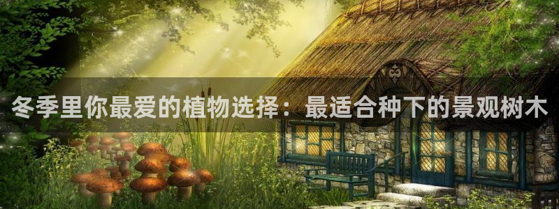 新宝Gg测速地址：冬季里你最爱的植物选择：最适合种下的景观树木