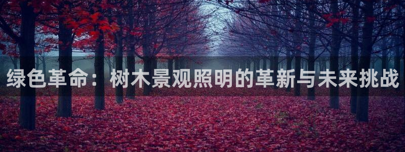 新宝GG正规78778：绿色革命：树木景观照明的革新与未来挑战