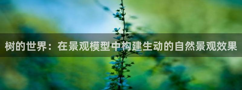 新宝gg如何