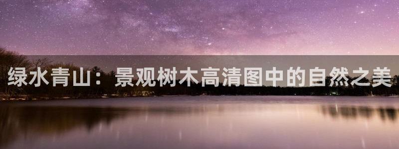 新宝gg开号