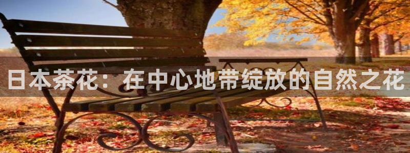 新宝gg系列