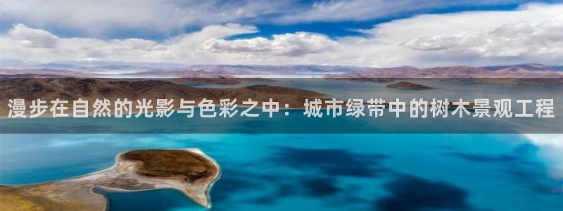 创造奇迹新宝gg：漫步在自然的光影与色彩之中：城市绿带中的树木景观工程