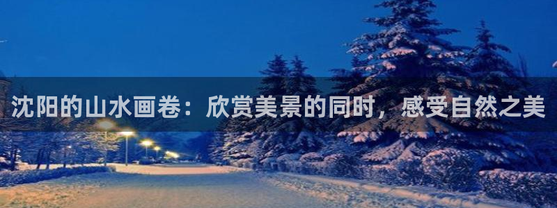 新宝GG 黑钱